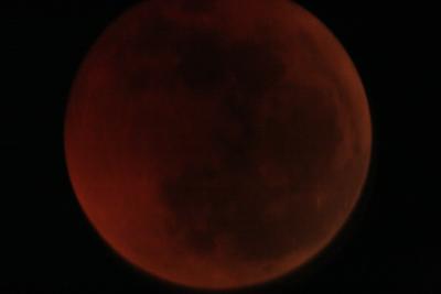 img_8296.jpg